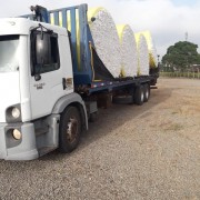 Cotton Transmodule Truck Shipment 
